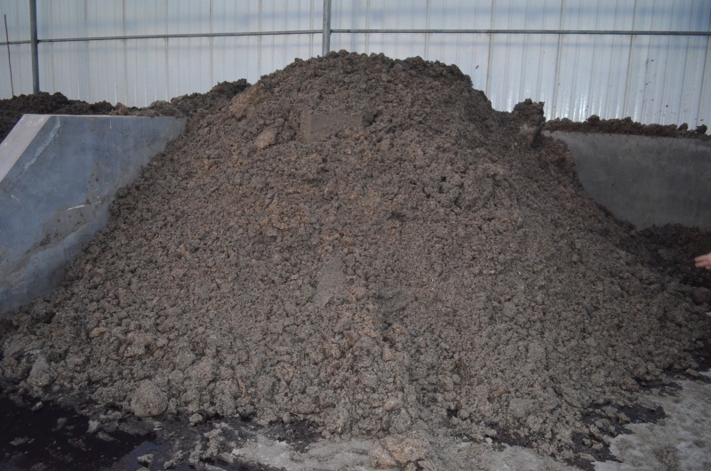 The difficulty and benefits of chicken manure treatment