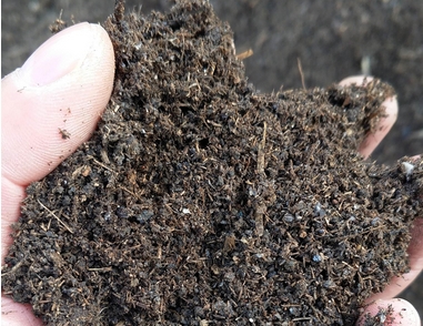 The difficulty and benefits of chicken manure treatment